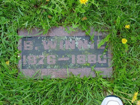 barbarawinniejohnston