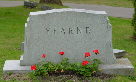 yearnd lot mem day 2009