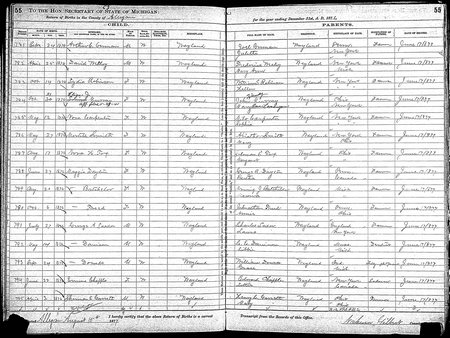 murray eliza j mi births 1867-1902 4206421 54