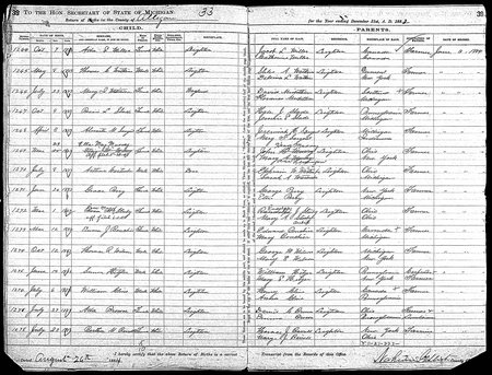 murray etta may mi births 1867-1902 4207046 64